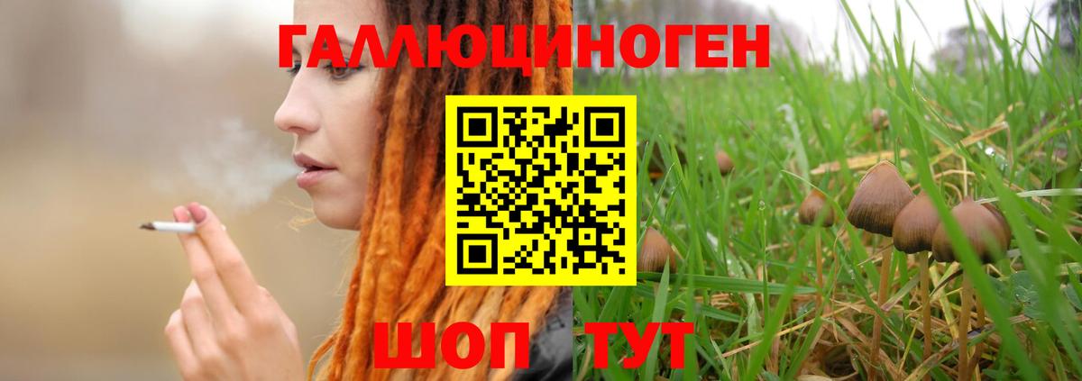 Галлюциногенные грибы мицелий  Вход с VPN  Обнинск 